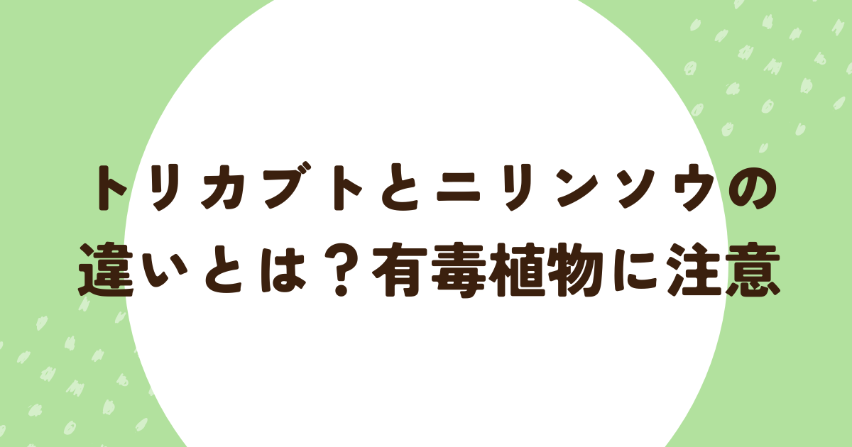 トリカブトとニリンソウの違いとは