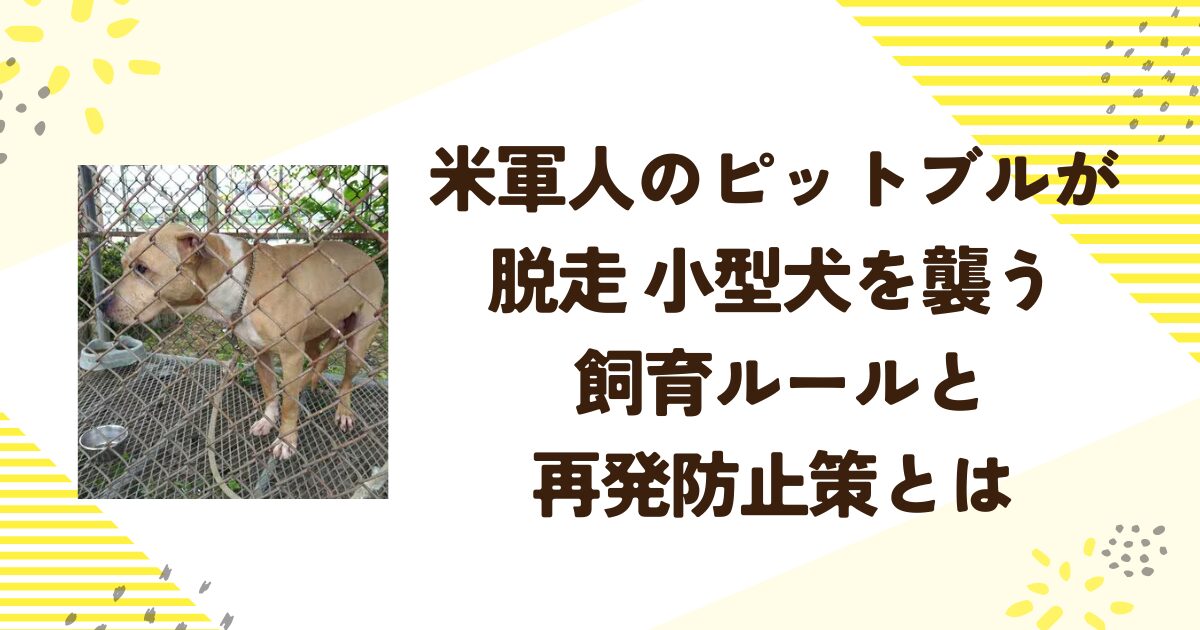 米軍人のピットブルが脱走 小型犬を襲う 飼育ルールと再発防止策とは
