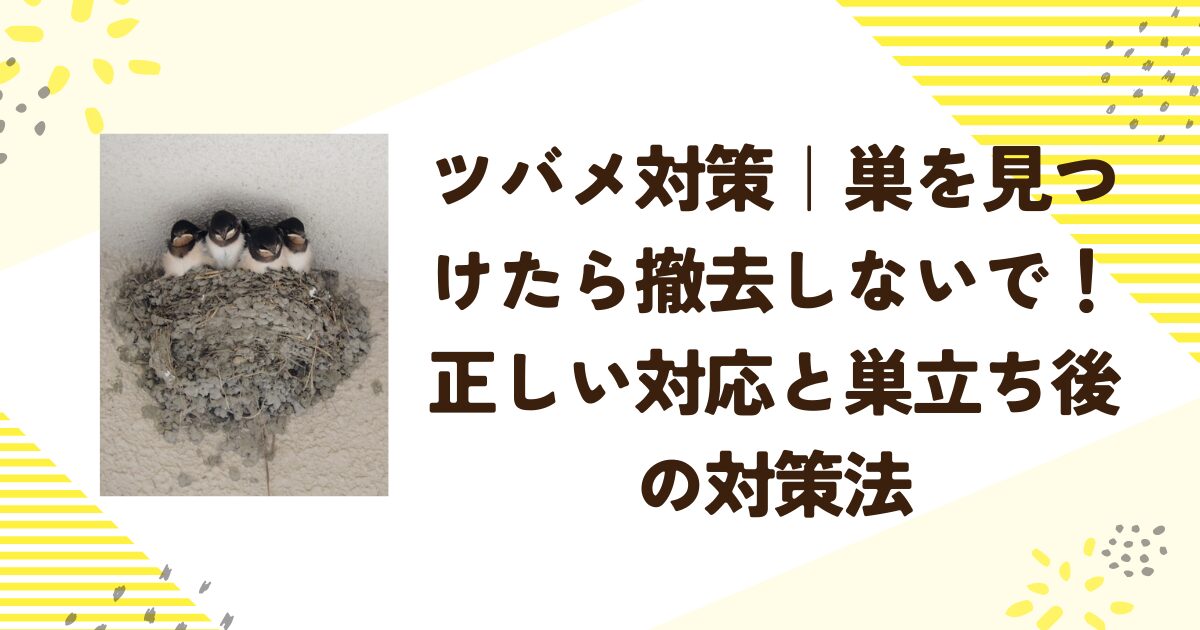 ツバメ対策｜巣を見つけたら撤去しないで！正しい対応と巣立ち後の対策法