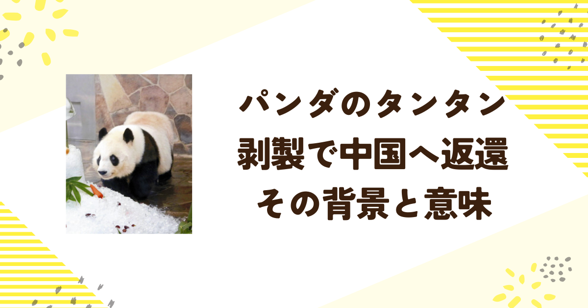 パンダのタンタン剥製で中国へ返還その背景と意味