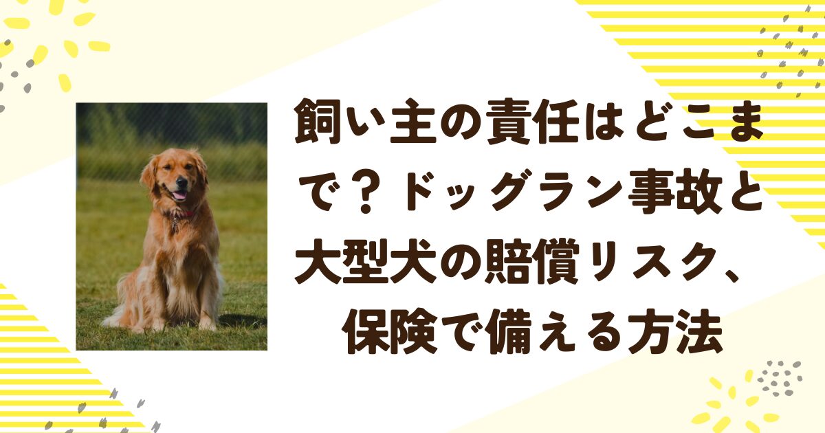 飼い主の責任はどこまで？ドッグラン事故と大型犬の賠償リスク、保険で備える方法