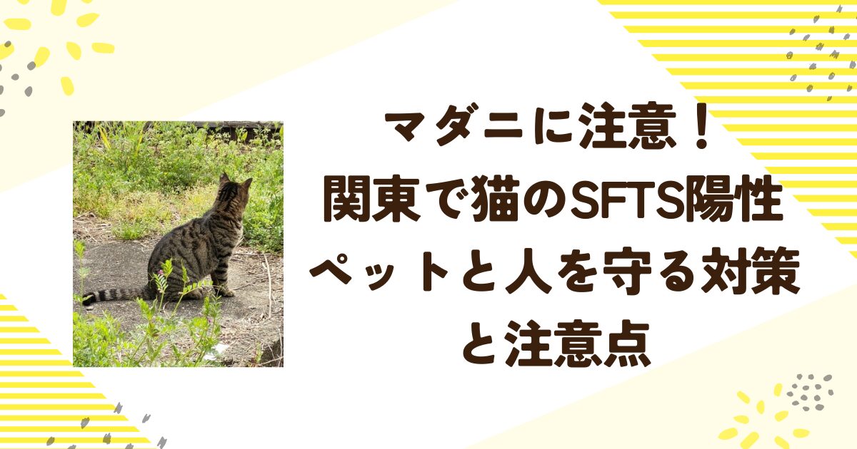 マダニに注意！関東で猫のSFTS陽性：ペットと人を守る対策と注意点