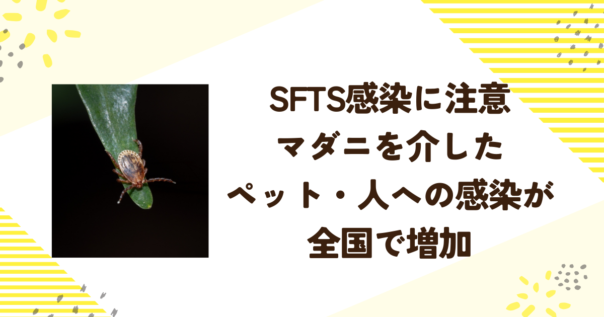 SFTS感染に注意：マダニを介したペット・人への感染が全国で増加