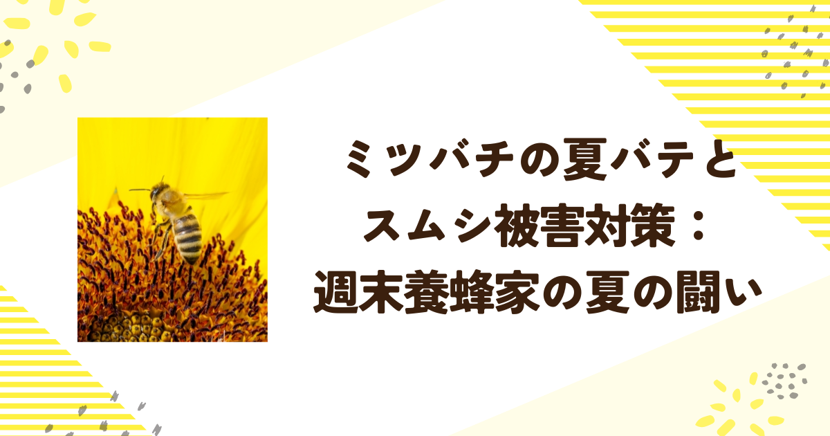 ミツバチの夏バテとスムシ被害対策：週末養蜂家の夏の闘い