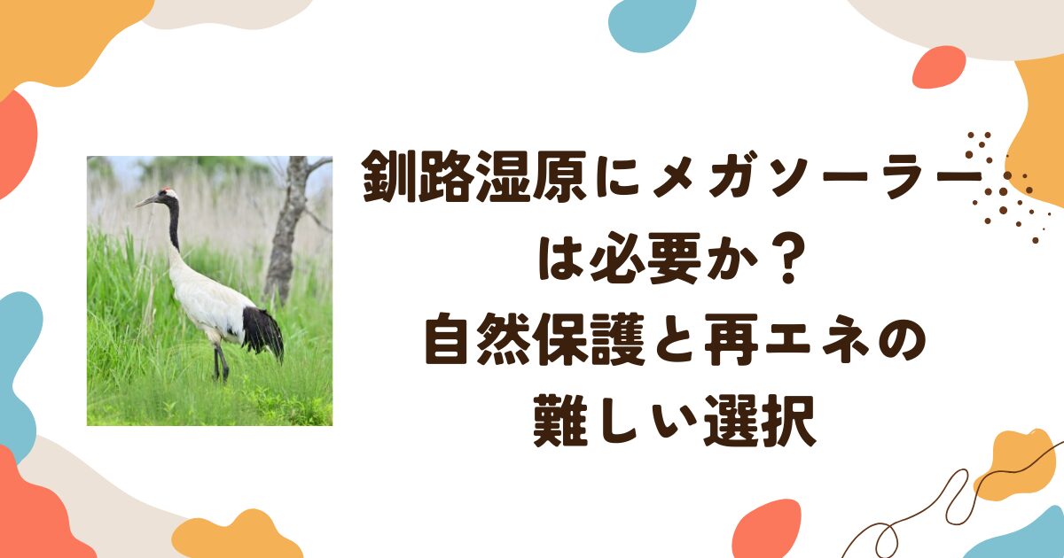 釧路湿原にメガソーラーは必要か？自然保護と再エネの難しい選択
