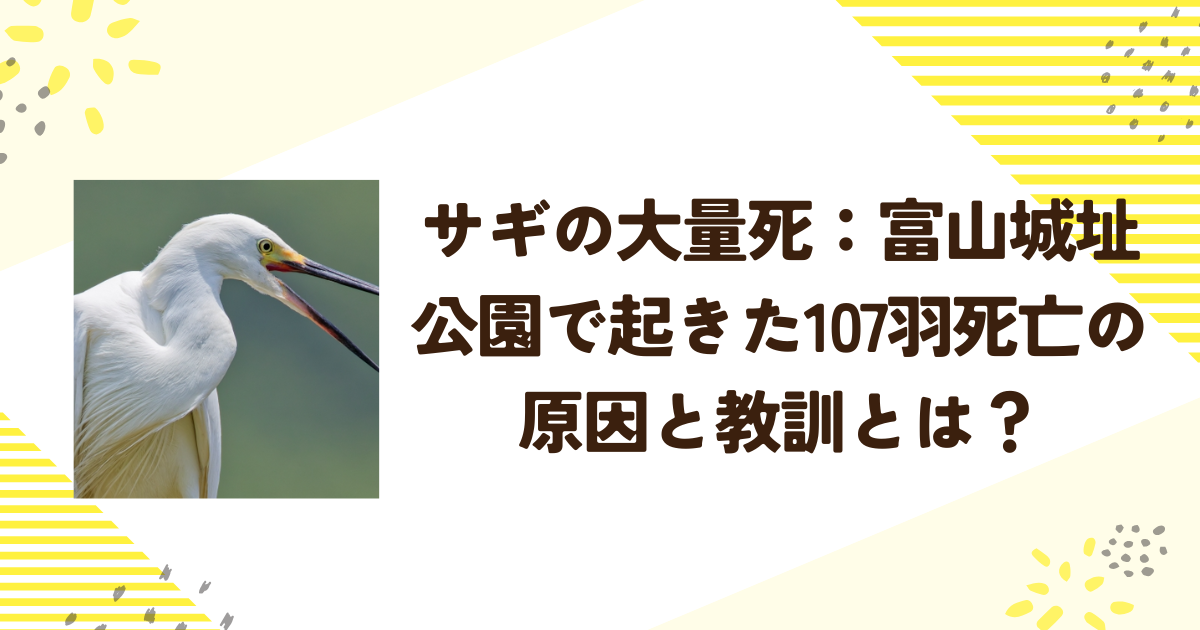 サギの大量死：富山城址公園で起きた107羽死亡の原因と教訓とは？