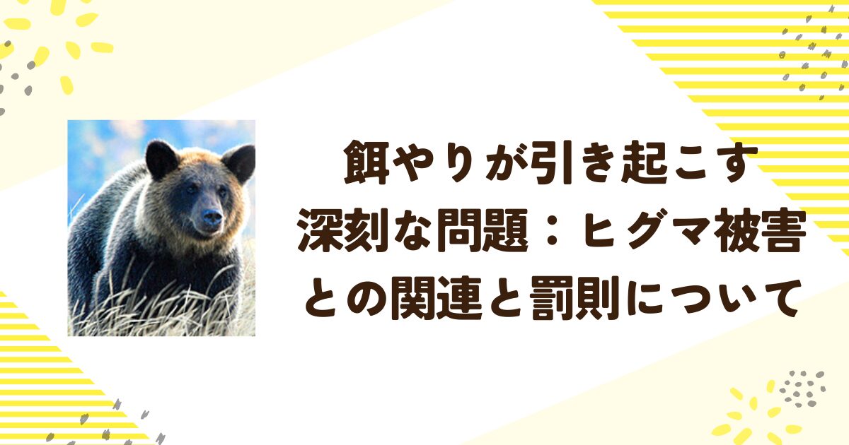 餌やりが引き起こす深刻な問題：ヒグマ被害との関連と罰則について