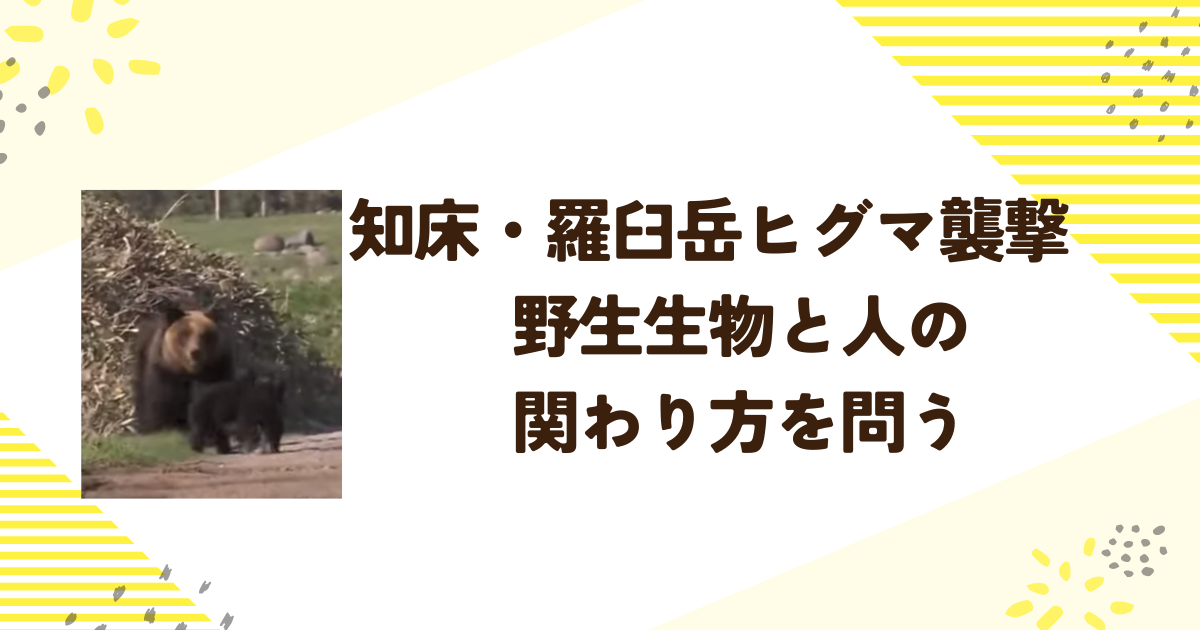 知床・羅臼岳ヒグマ襲撃　野生生物と人の関わり方を問う