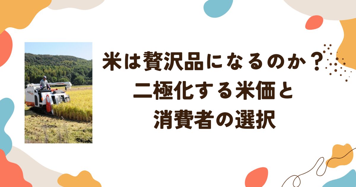 新米は贅沢品になるのか？　二極化する米価と消費者の選択