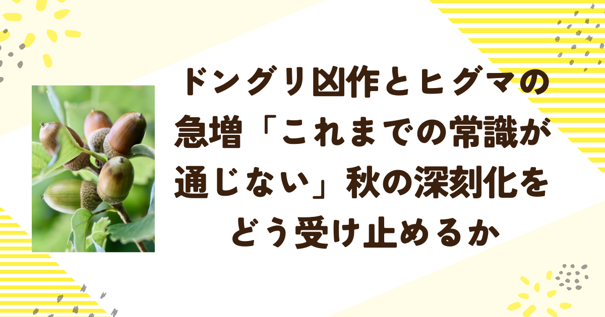 ドングリ凶作とヒグマの急増「これまでの常識が通じない」秋の深刻化をどう受け止めるか