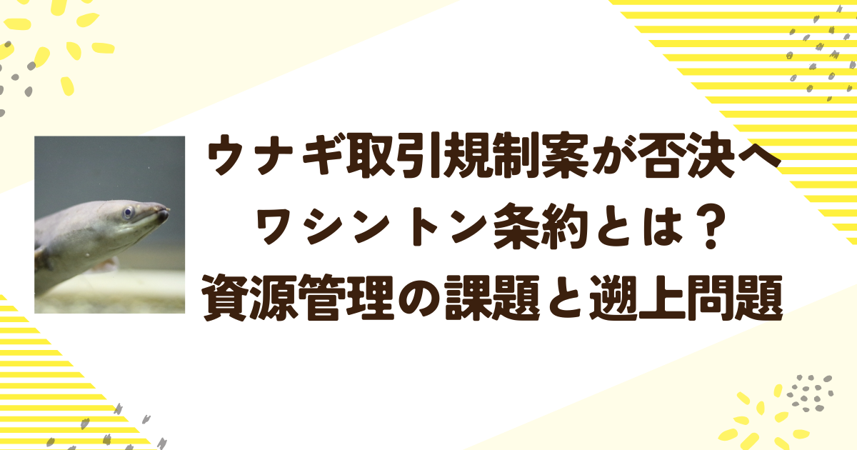 ウナギ取引規制案が否決へ ワシントン条約とは？資源管理の課題と遡上問題