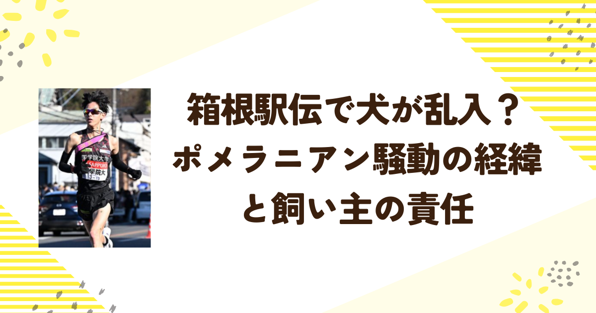 箱根駅伝で犬が乱入？ポメラニアン騒動の経緯と飼い主の責任