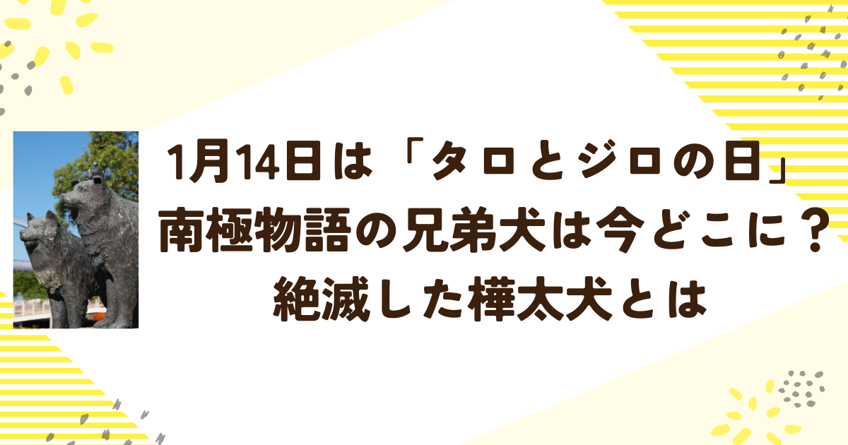 1月14日は「タロとジロの日」 南極物語の兄弟犬は今どこに？樺太犬とは