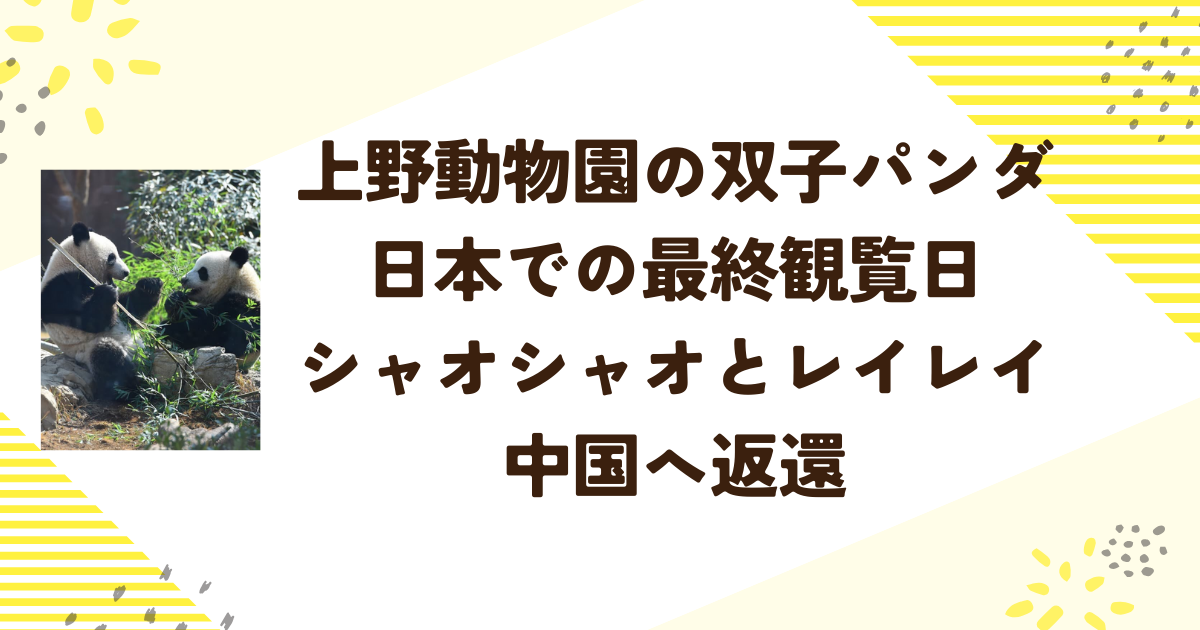 上野動物園の双子パンダ日本での最終観覧日 シャオシャオとレイレイ中国へ返還