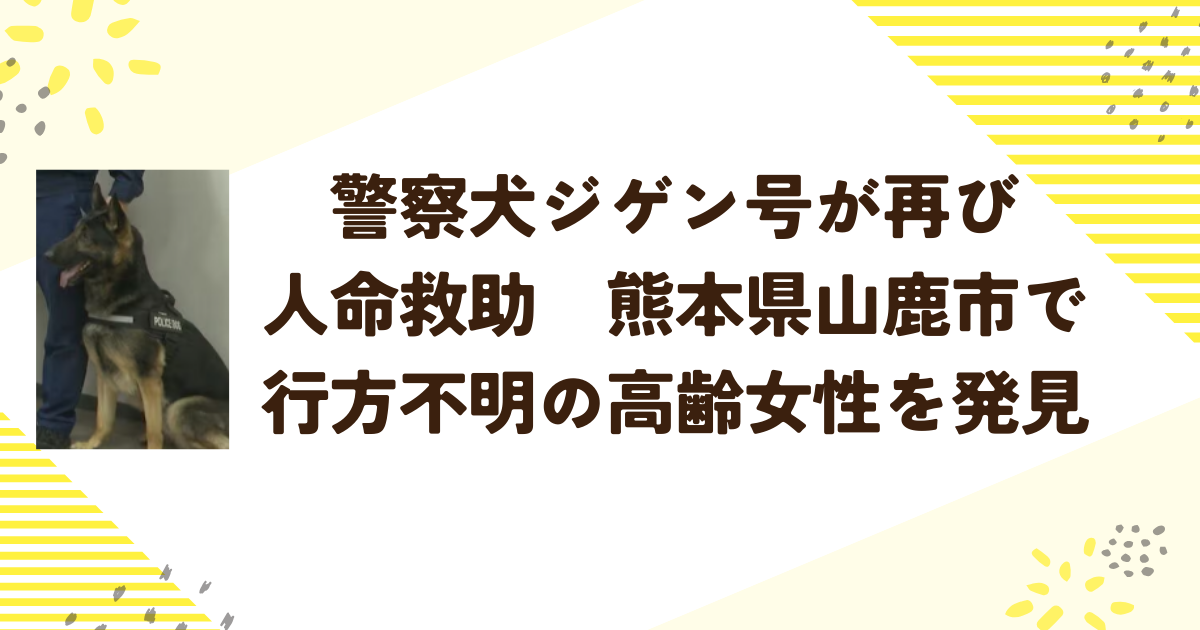警察犬ジゲン号が再び人命救助　熊本県山鹿市で行方不明の高齢女性を発見