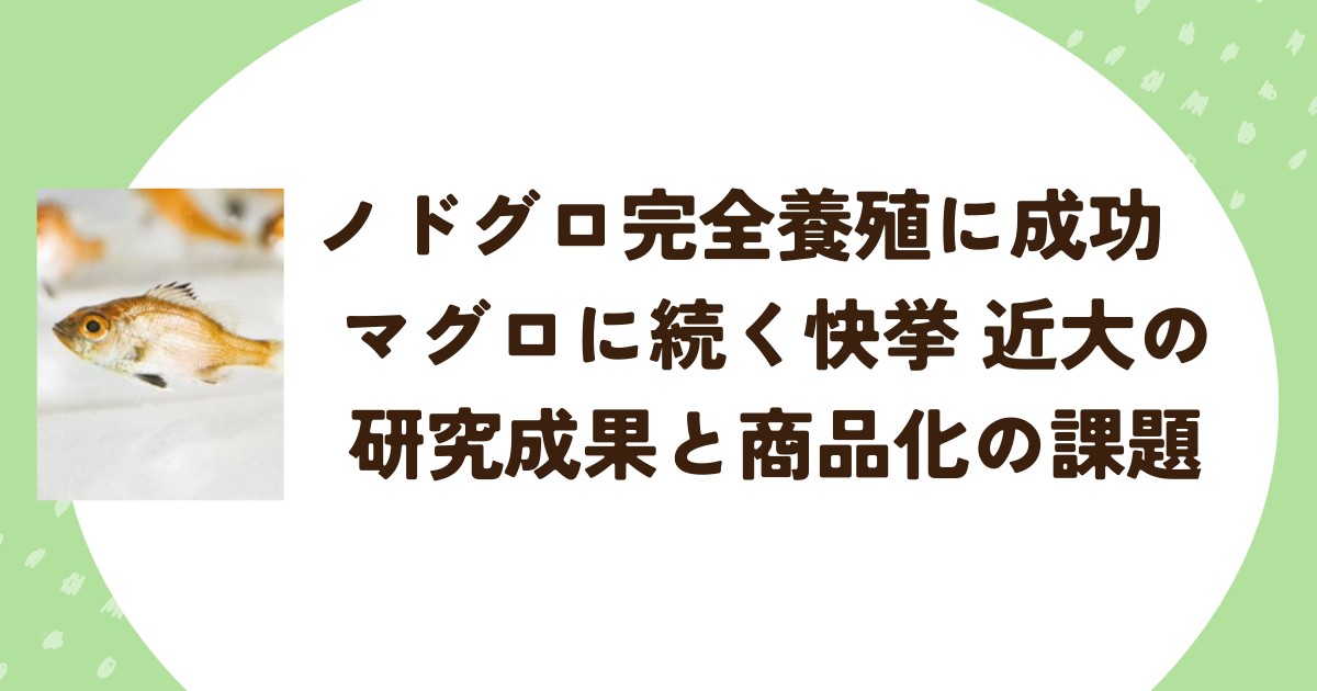 ノドグロ完全養殖に成功　マグロに続く快挙 近畿大学の研究成果と商品化の課題
