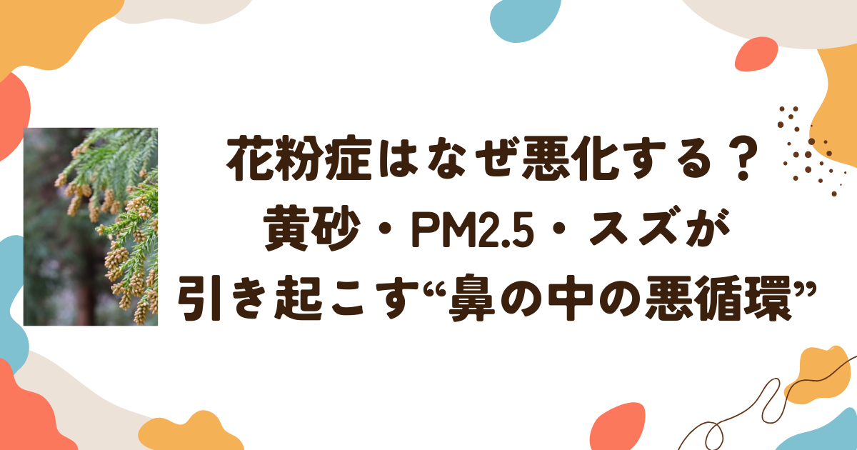 花粉症はなぜ悪化する？黄砂・PM2.5・スズが引き起こす“鼻の中の悪循環”