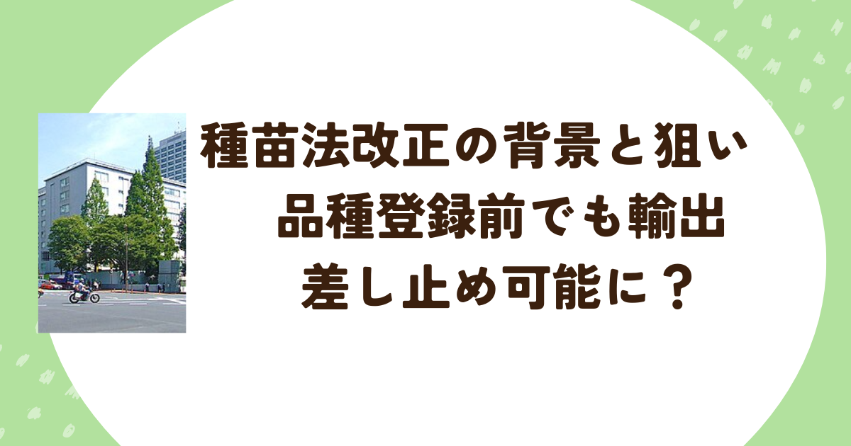 種苗法改正の背景と狙い　品種登録前でも輸出差し止め可能に？