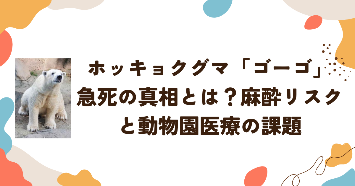 ホッキョクグマ「ゴーゴ」急死の真相とは？麻酔リスクと動物園医療の課題