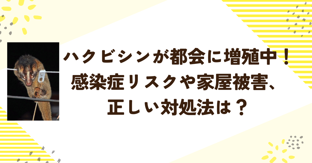ハクビシンが都会に増殖中！感染症リスクや家屋被害、正しい対処法は？