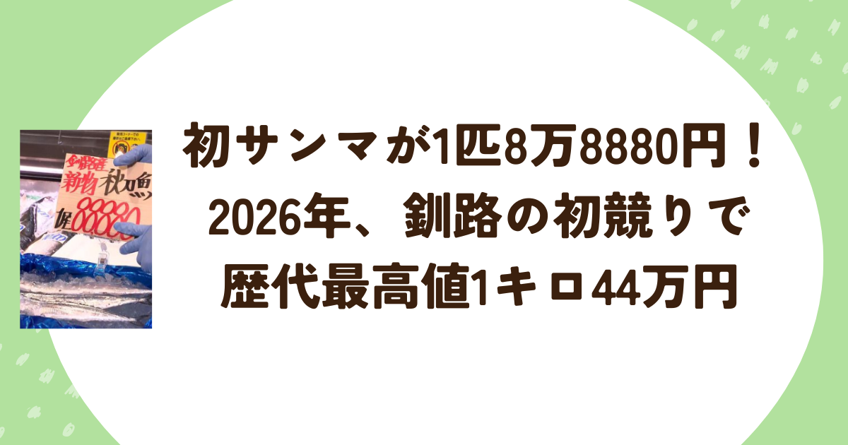 初サンマが1匹8万8880円！2026年、釧路の初競りで歴代最高値1キロ44万円