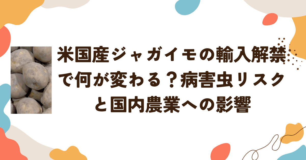 米国産ジャガイモの輸入解禁で何が変わる？病害虫リスクと国内農業への影響